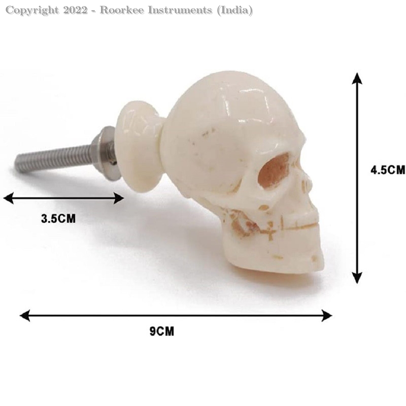 Skull Decorative Resin Dresser Knob for Furniture, Chest of Drawers, Cupboard, Nursery Drawer and Cabinet Pull, Sideboards and Wardrobes (Pack of 2, Black)