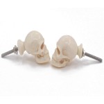 Skull Decorative Resin Dresser Knob for Furniture, Chest of Drawers, Cupboard, Nursery Drawer and Cabinet Pull, Sideboards and Wardrobes (Pack of 2, Ivory)